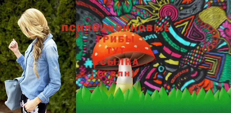 Галлюциногенные грибы Psilocybe  OMG вход  Белозерск 